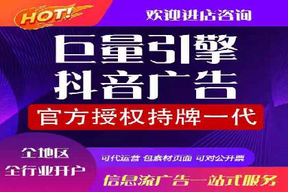 SEM推广优化实战：案例分析与启示